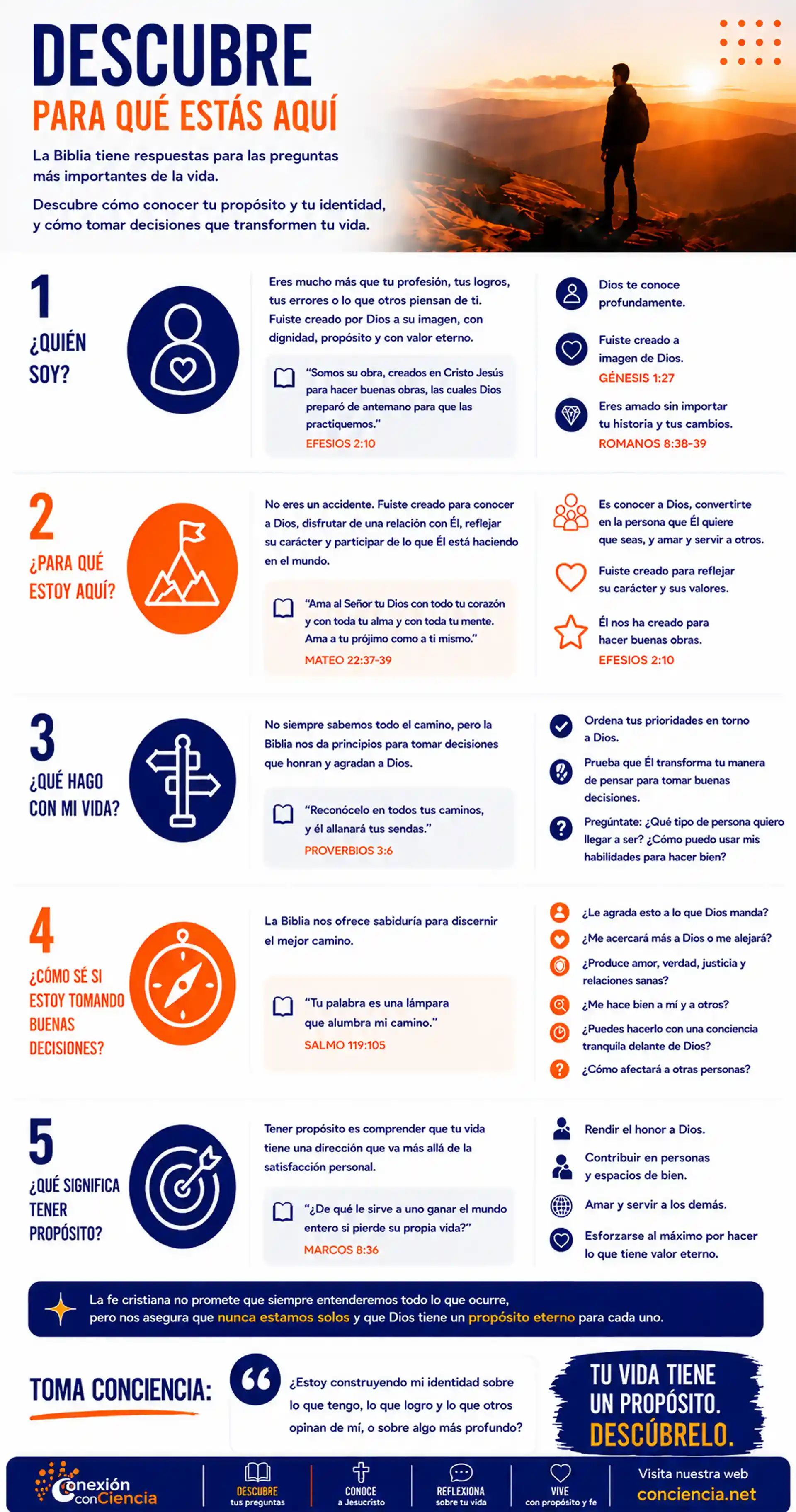 Descubre - infografía